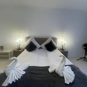 Shared Apartment, Friesenplatz Apartment